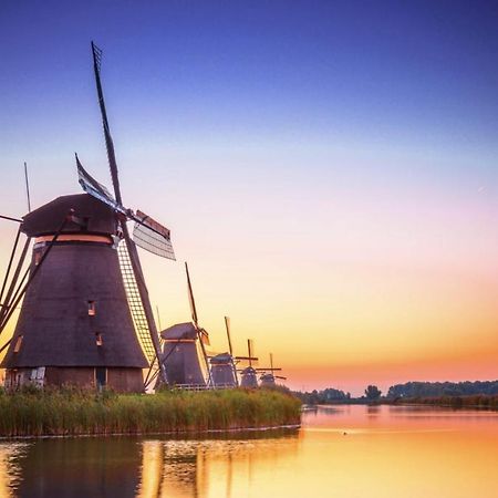 B&B Oostzomerland Mijnsheerenland エクステリア 写真