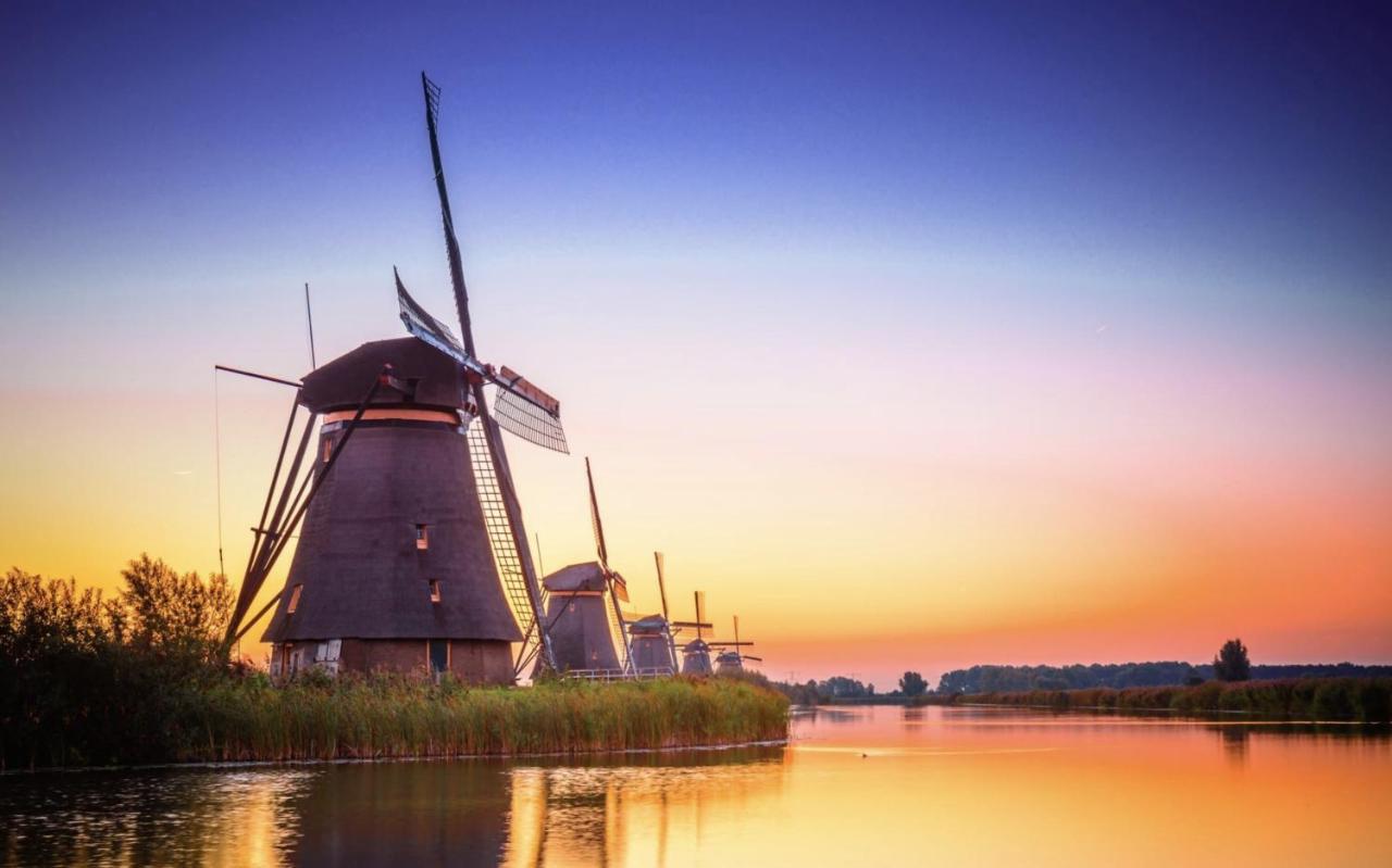 B&B Oostzomerland Mijnsheerenland エクステリア 写真